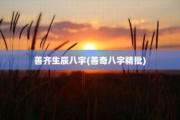 善齐生辰八字(善奇八字精批)