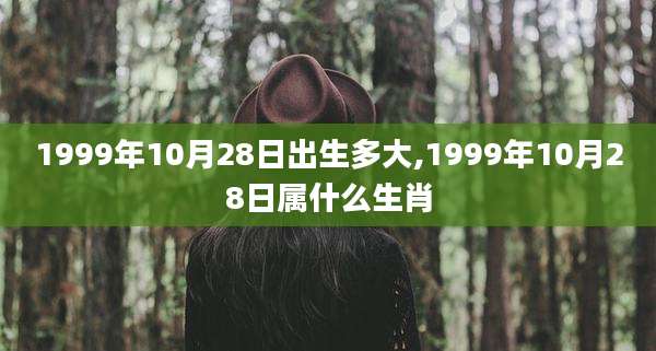 1999年10月28日出生多大,1999年10月28日属什么生肖