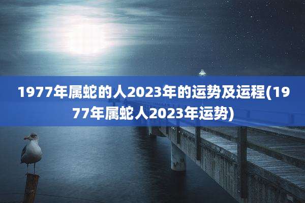 1977年属蛇的人2023年的运势及运程(1977年属蛇人2023年运势)