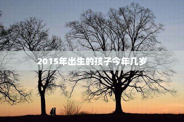 2015年出生的孩子今年几岁