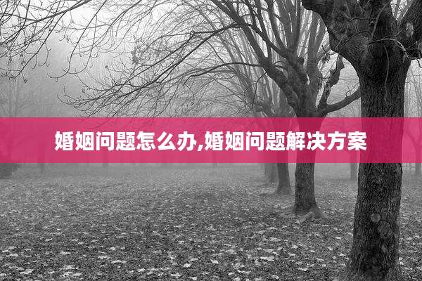 婚姻问题怎么办,婚姻问题解决方案