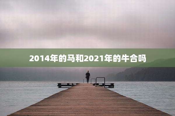 2014年的马和2021年的牛合吗
