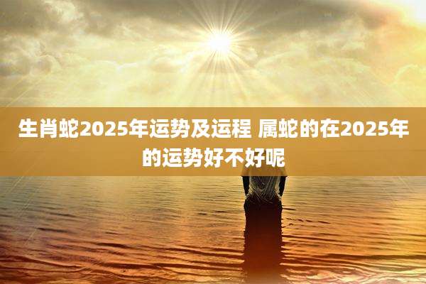 生肖蛇2025年运势及运程 属蛇的在2025年的运势好不好呢