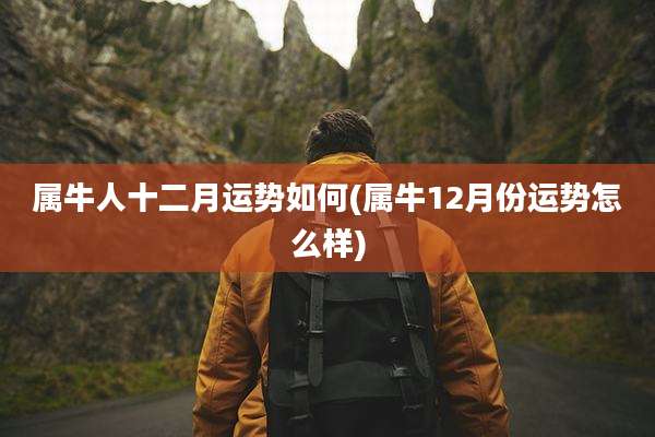 属牛人十二月运势如何(属牛12月份运势怎么样)
