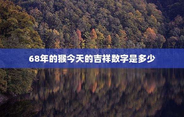 68年的猴今天的吉祥数字是多少