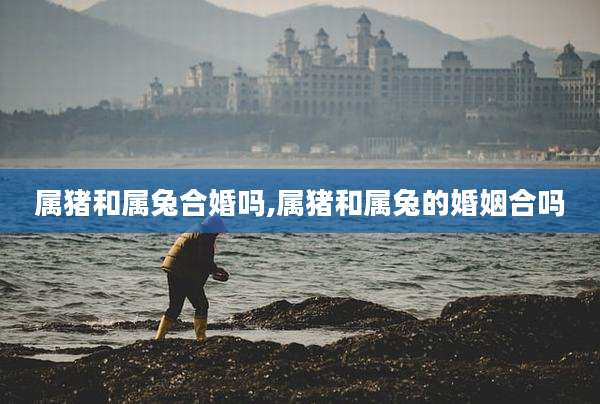属猪和属兔合婚吗,属猪和属兔的婚姻合吗
