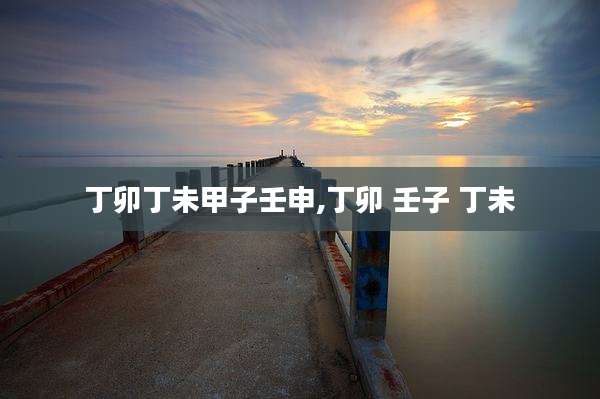 丁卯丁未甲子壬申,丁卯 壬子 丁未