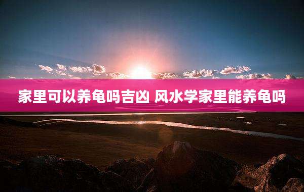 家里可以养龟吗吉凶 风水学家里能养龟吗