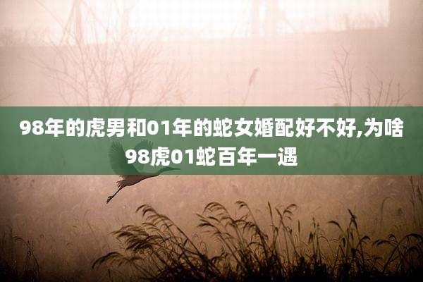 98年的虎男和01年的蛇女婚配好不好,为啥98虎01蛇百年一遇