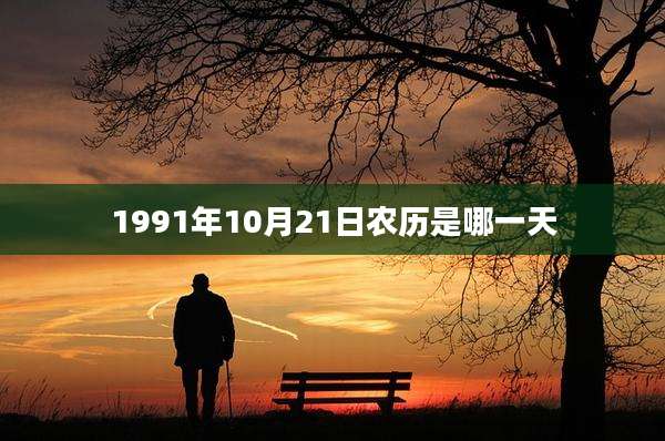 1991年10月21日农历是哪一天