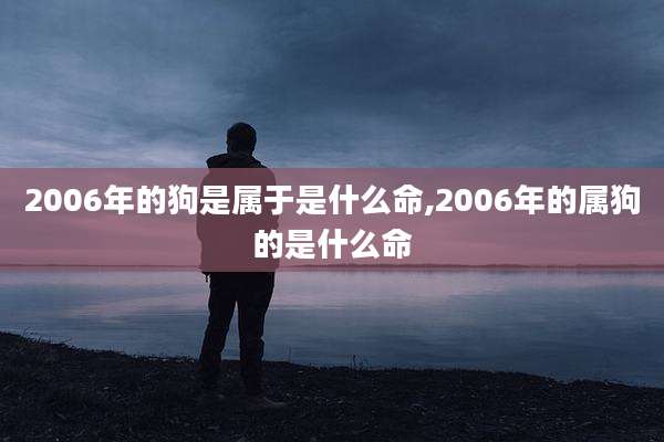 2006年的狗是属于是什么命,2006年的属狗的是什么命