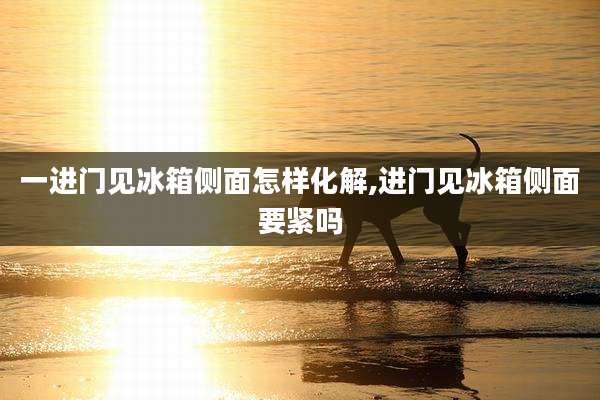 一进门见冰箱侧面怎样化解,进门见冰箱侧面要紧吗