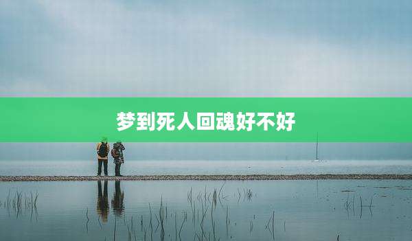梦到死人回魂好不好