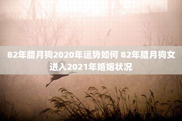 82年腊月狗2020年运势如何 82年腊月狗女进入2021年婚姻状况