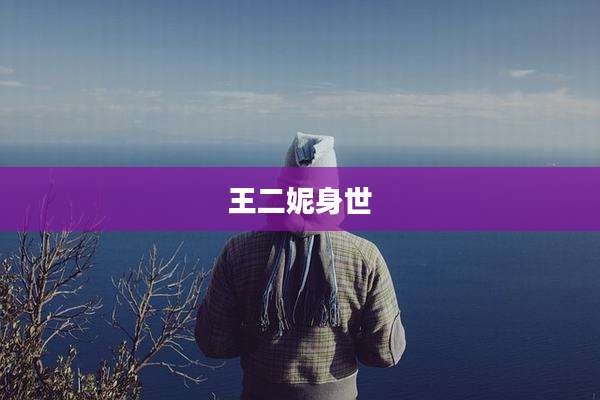王二妮身世