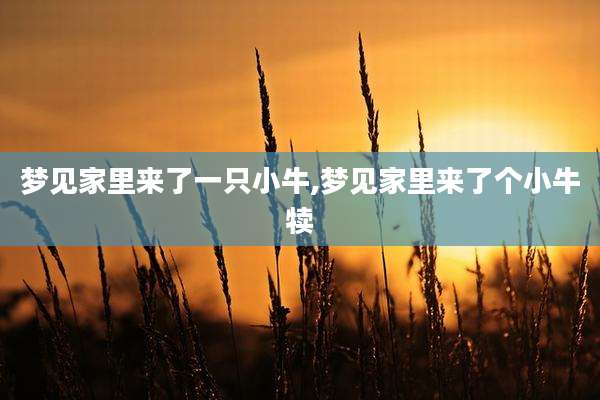梦见家里来了一只小牛,梦见家里来了个小牛犊