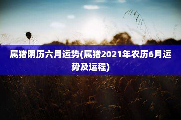 属猪阴历六月运势(属猪2021年农历6月运势及运程)