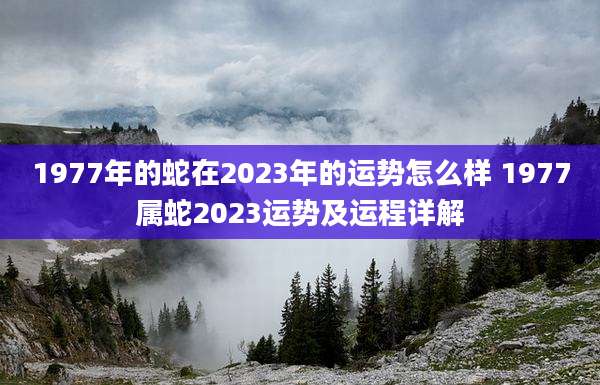 1977年的蛇在2023年的运势怎么样 1977属蛇2023运势及运程详解