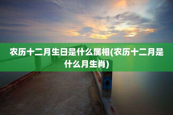 农历十二月生日是什么属相(农历十二月是什么月生肖)