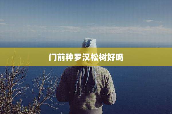 门前种罗汉松树好吗
