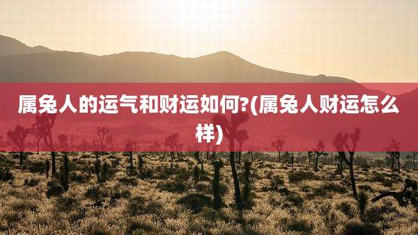 属兔人的运气和财运如何?(属兔人财运怎么样)
