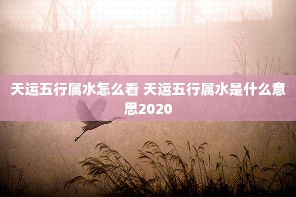天运五行属水怎么看 天运五行属水是什么意思2020