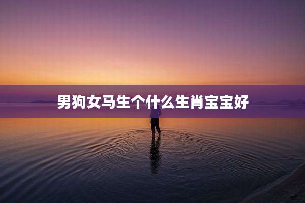 男狗女马生个什么生肖宝宝好