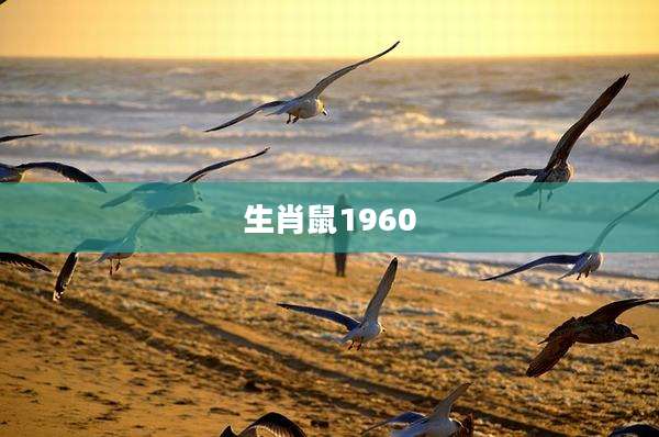 生肖鼠1960