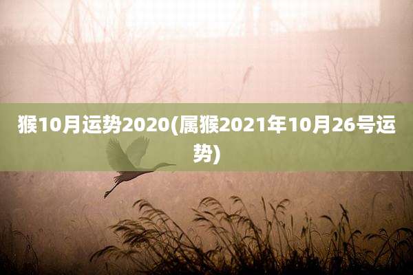 猴10月运势2020(属猴2021年10月26号运势)
