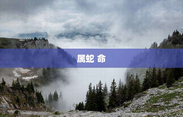 属蛇 命