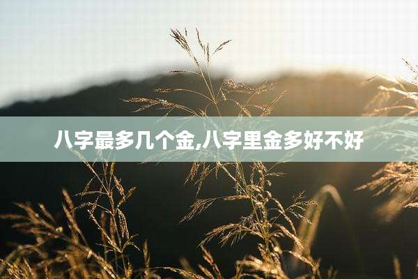 八字最多几个金,八字里金多好不好