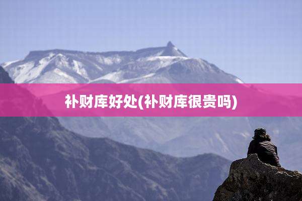 补财库好处(补财库很贵吗)