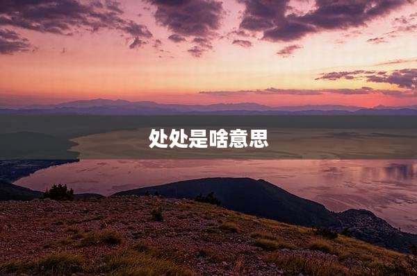 处处是啥意思