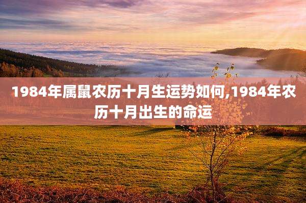 1984年属鼠农历十月生运势如何,1984年农历十月出生的命运