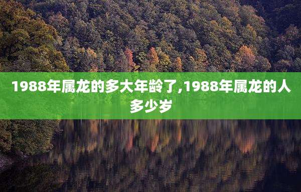 1988年属龙的多大年龄了,1988年属龙的人多少岁