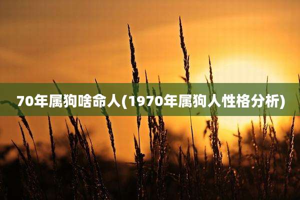 70年属狗啥命人(1970年属狗人性格分析)