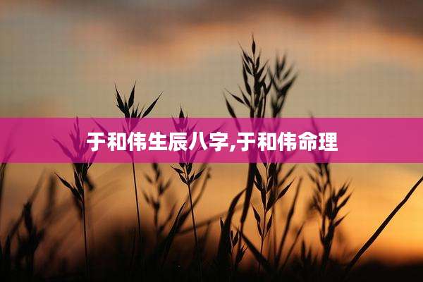 于和伟生辰八字,于和伟命理