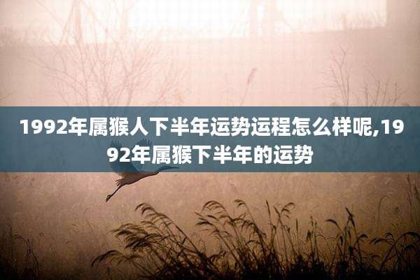 1992年属猴人下半年运势运程怎么样呢,1992年属猴下半年的运势