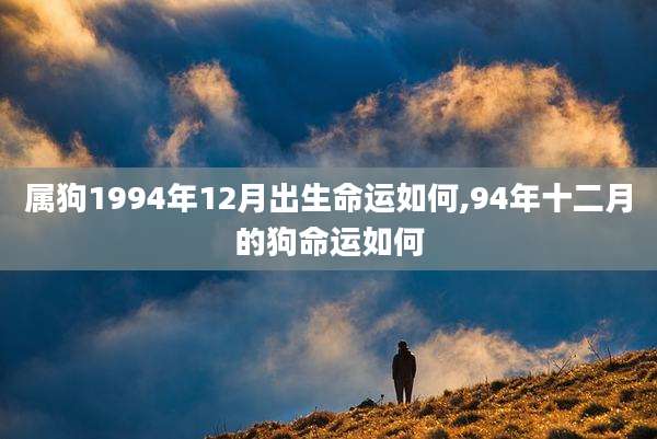 属狗1994年12月出生命运如何,94年十二月的狗命运如何