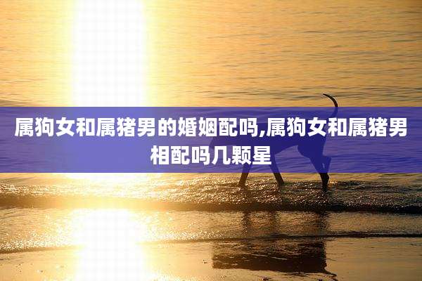 属狗女和属猪男的婚姻配吗,属狗女和属猪男相配吗几颗星