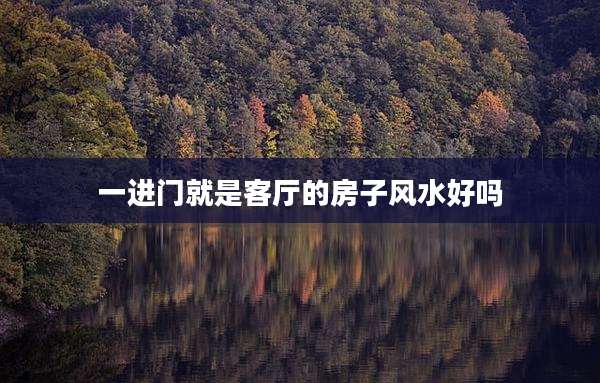 一进门就是客厅的房子风水好吗