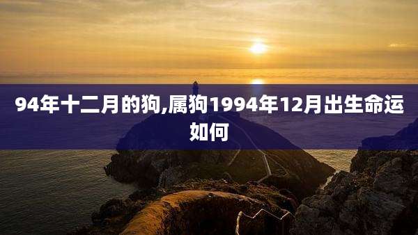 94年十二月的狗,属狗1994年12月出生命运如何