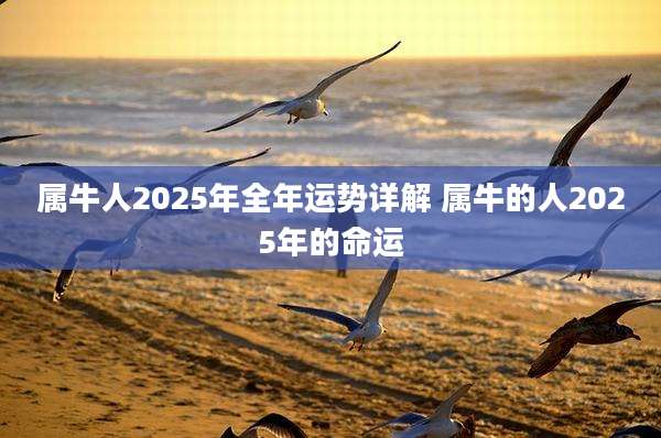 属牛人2025年全年运势详解 属牛的人2025年的命运