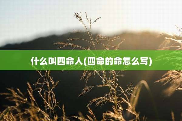 什么叫四命人(四命的命怎么写)