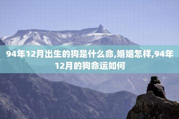 94年12月出生的狗是什么命,婚姻怎样,94年12月的狗命运如何
