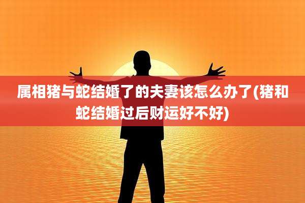 属相猪与蛇结婚了的夫妻该怎么办了(猪和蛇结婚过后财运好不好)