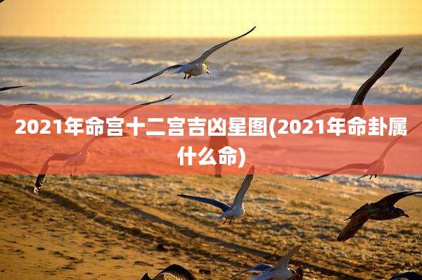 2021年命宫十二宫吉凶星图(2021年命卦属什么命)