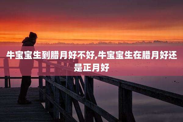 牛宝宝生到腊月好不好,牛宝宝生在腊月好还是正月好