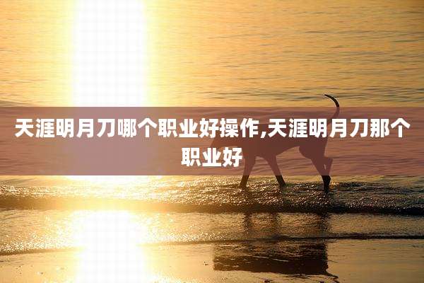 天涯明月刀哪个职业好操作,天涯明月刀那个职业好