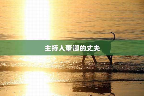 主持人董卿的丈夫